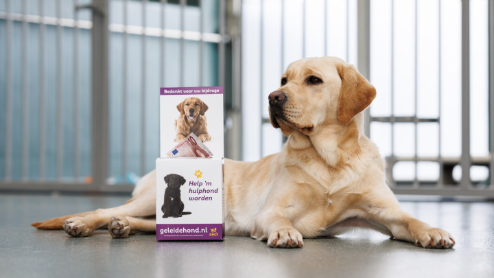 blonde hond naast donatiebox in de kennel