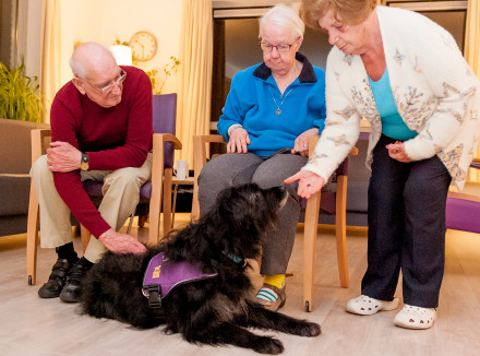 Een dame geeft een hondenkoekje aan een therapiehond die op de grond ligt