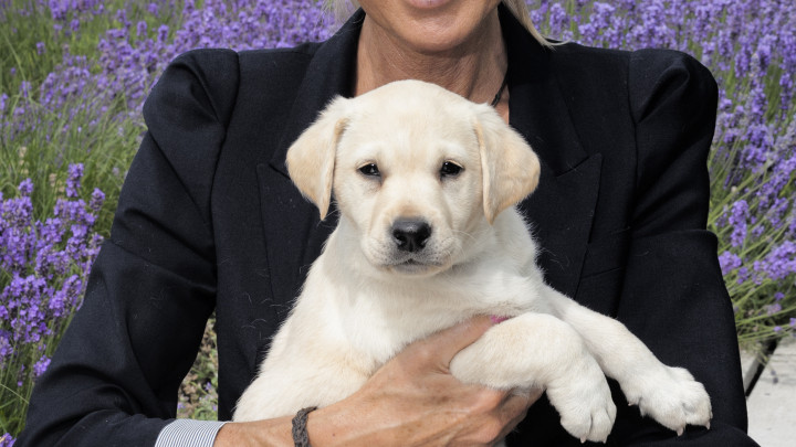 Directeur Ellen Greve neemt afscheid van KNGF Geleidehonden